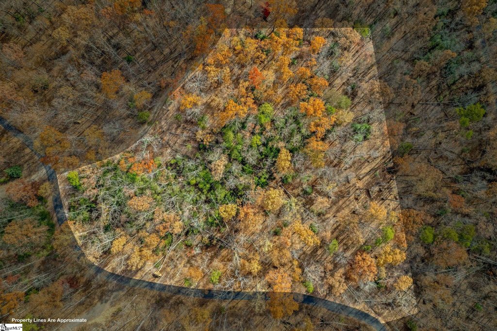 Woodlands At Cleveland