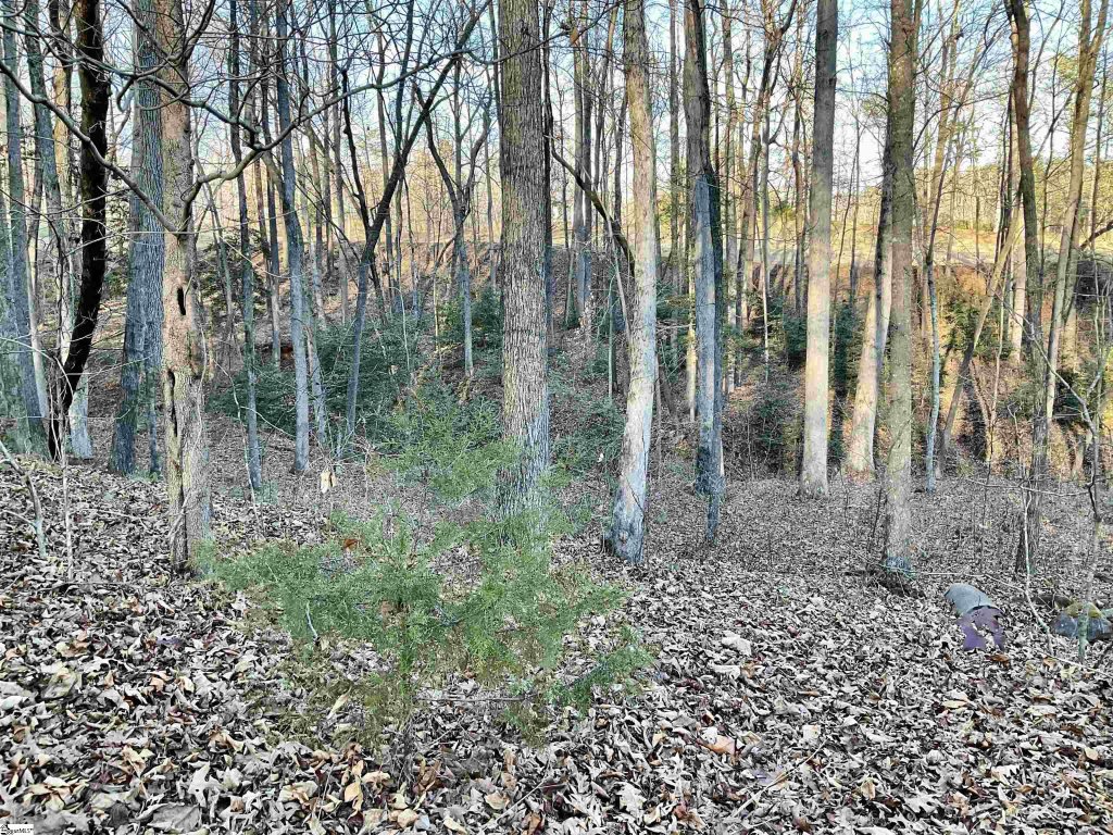 110 Laurel Valley Way