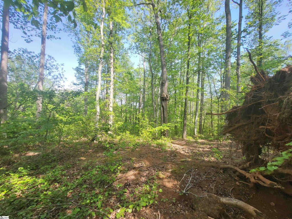 121 Laurel Valley Way