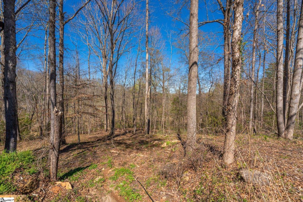 Oak Creek, Spartanburg community