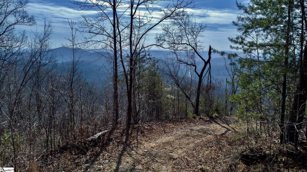 146 Glassy Falls Trail