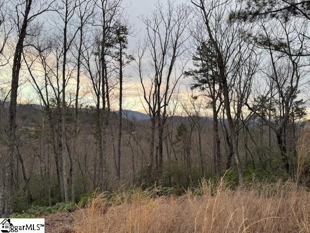 40 Secret Hollow Trail