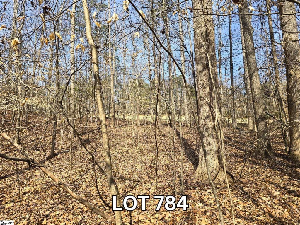 Lot 784 S Hogan Drive