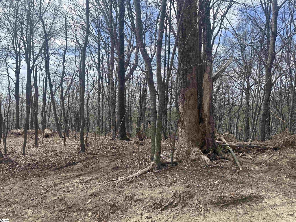 00 Flintrock Knob Lane
