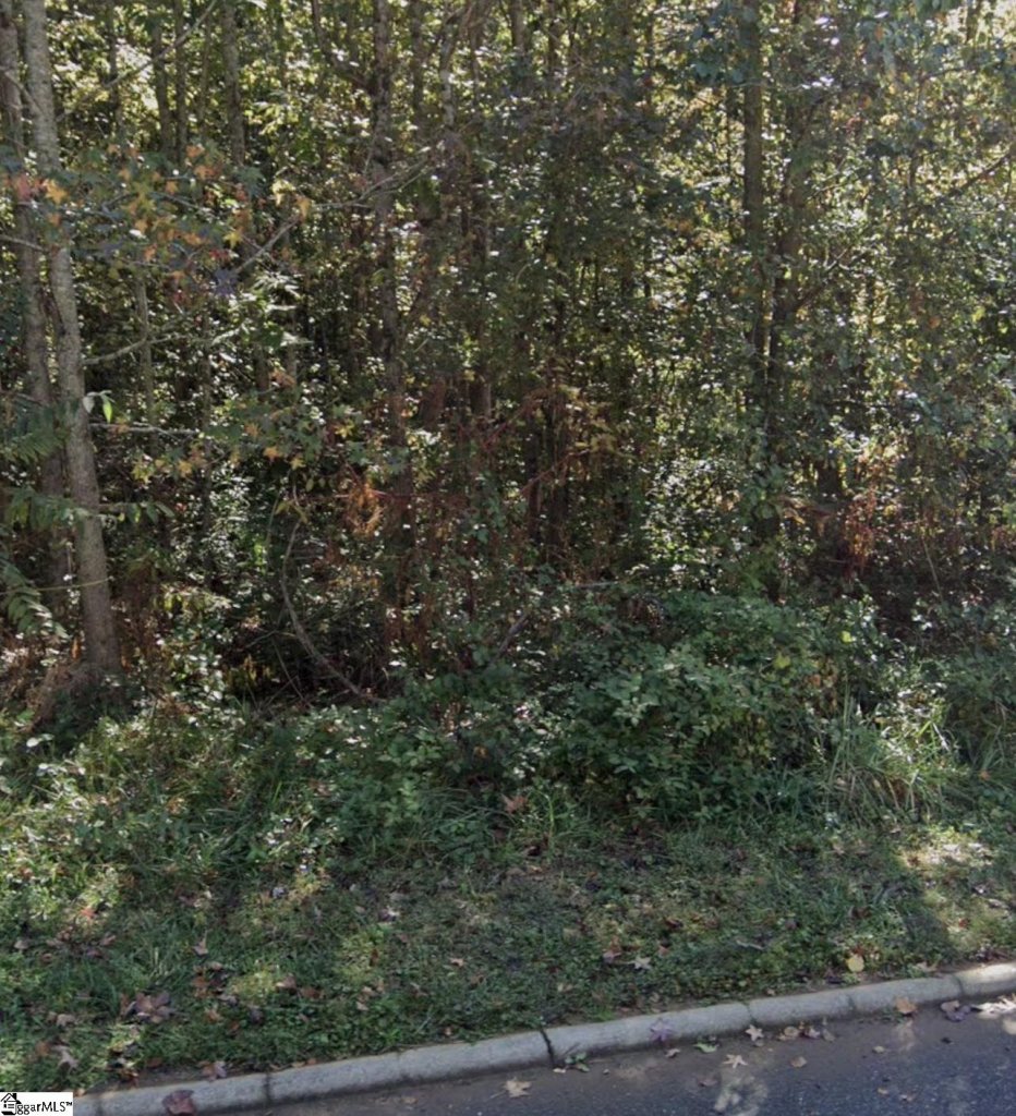 Wexford, Travelers Rest community