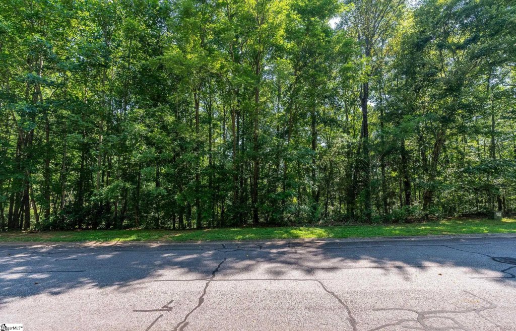 313 Laurel Valley Way