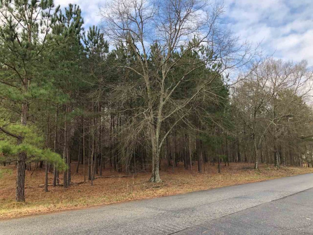 250 Saranac Drive