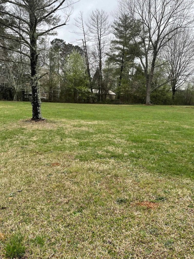 1504 E Blackstock Road