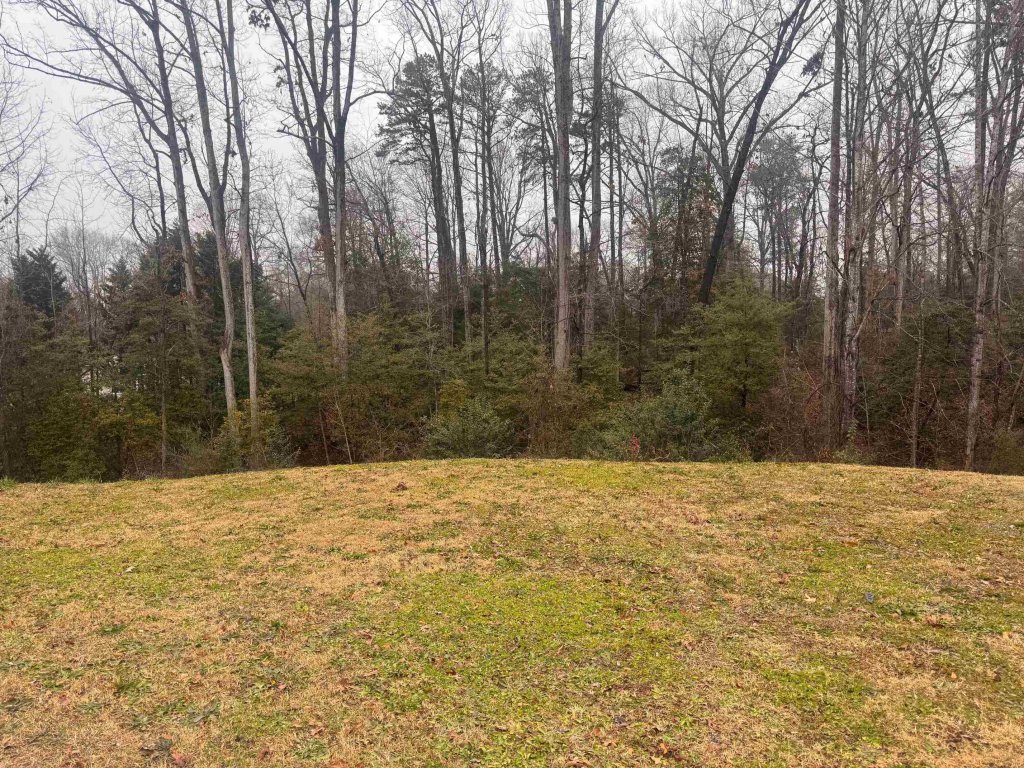 740 Bent Hollow Court