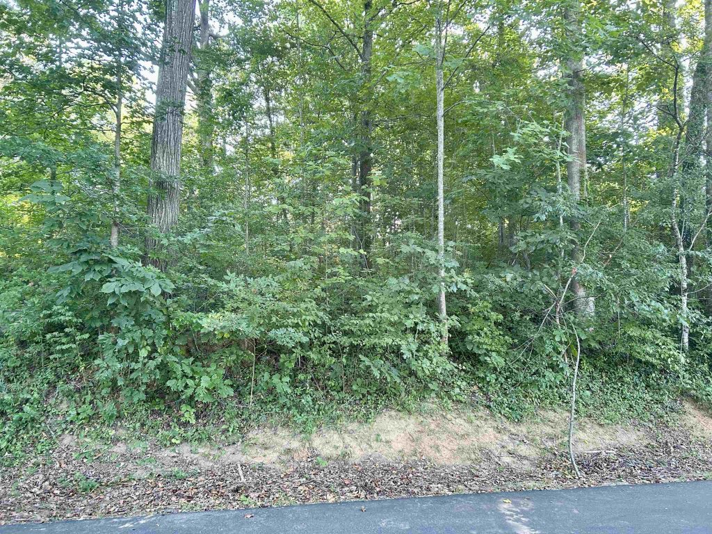151 Lake Bowen Drive
