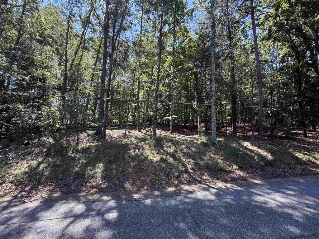 264 Saranac Drive