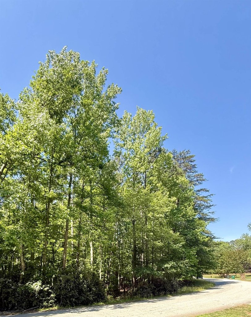 00 Woodwind Drive