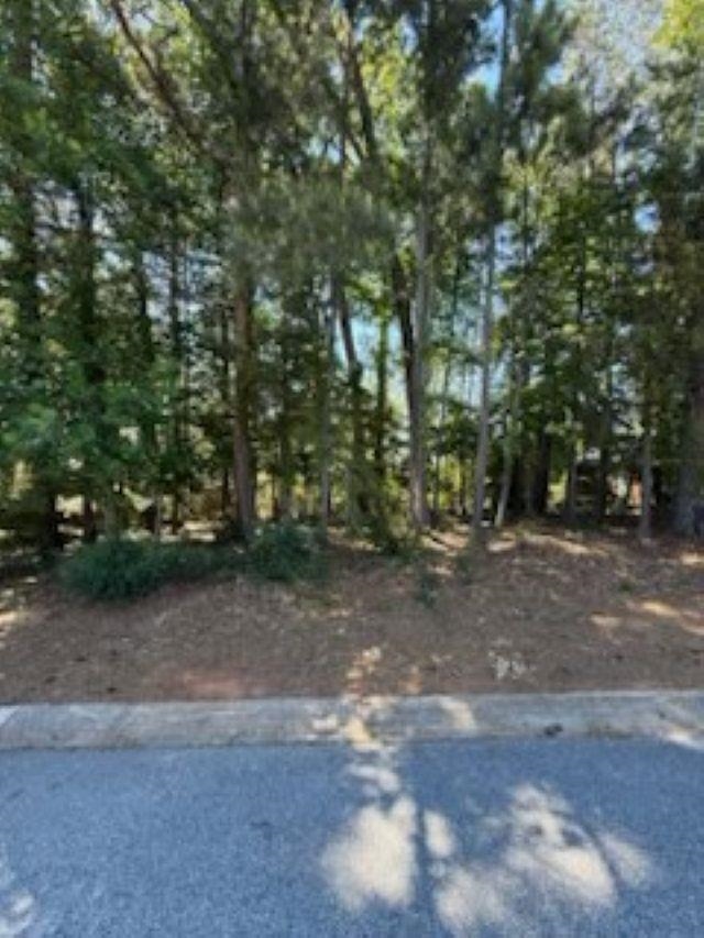213 S Carleila Lake Way