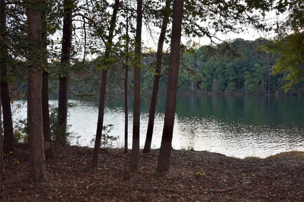 00 Hard Cash Lane Lot 14