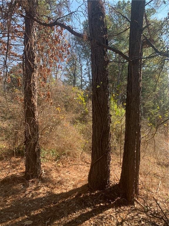 231 & 232 Greenmeadow Circle