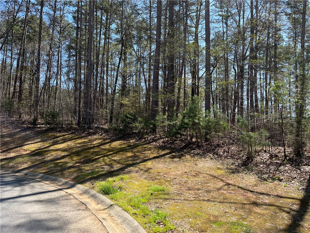Lot 29 Pointe Harbor - Pointe East Drive