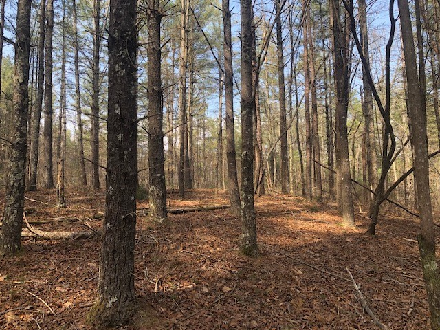 101 Dutchman'S Pipe Trail
