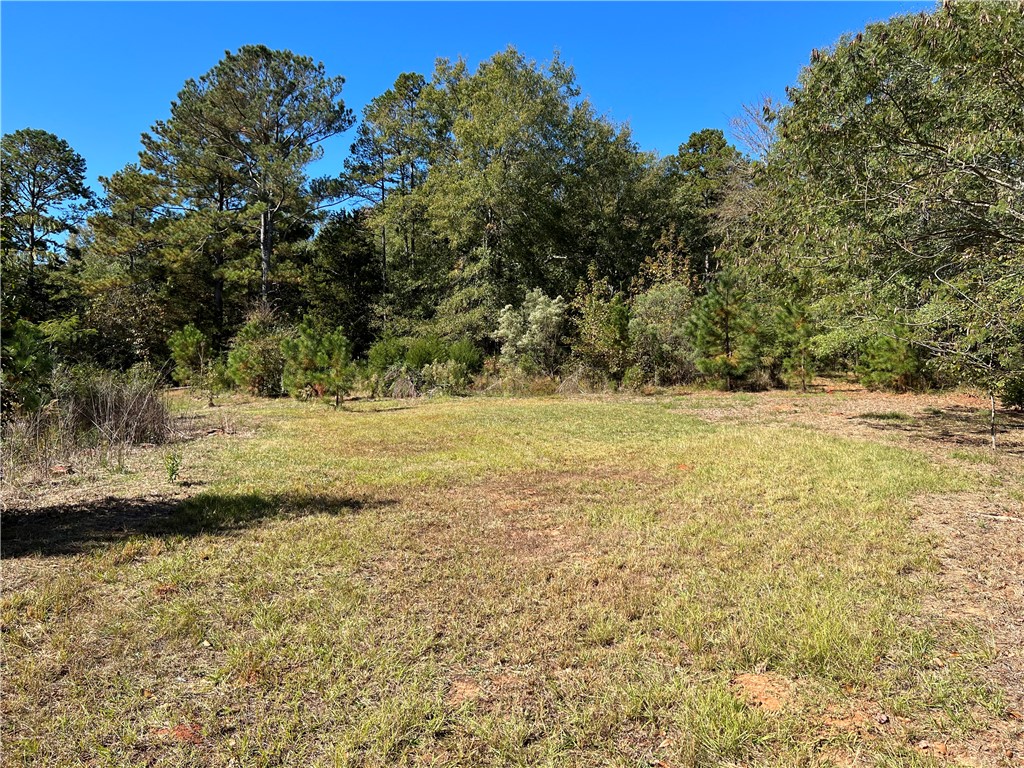 234 Lake Shore Drive