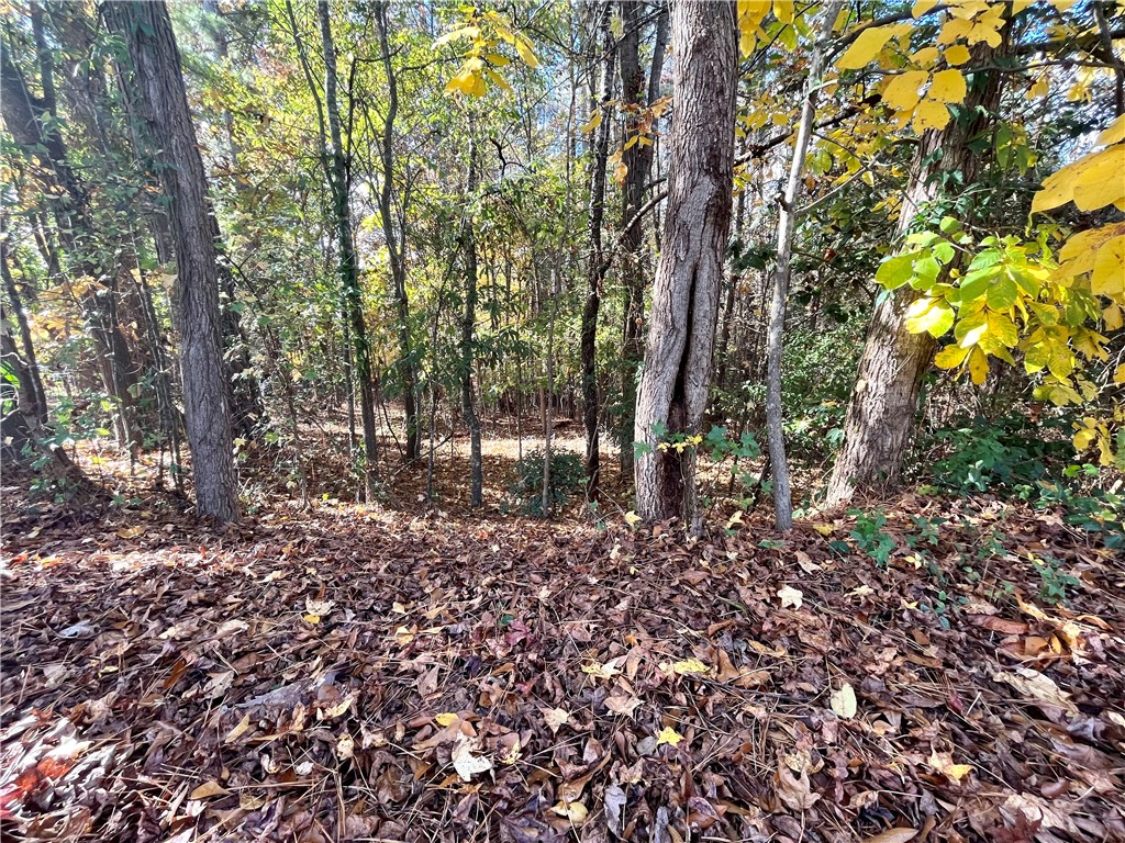 00 Holly Ridge Drive