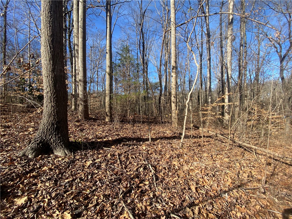 Lots 29 & 30 Timberlake One Circle