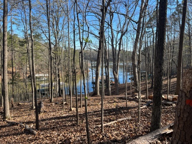 1204 Cartee Road