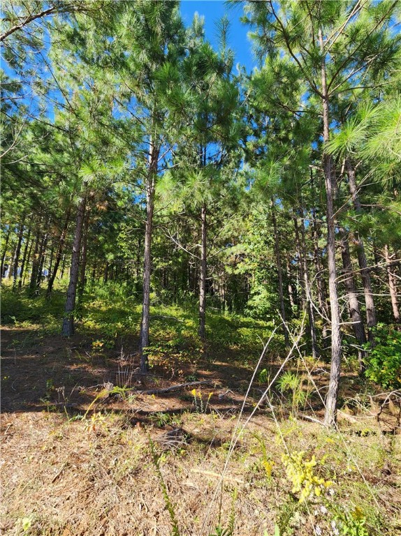 108 Abaco Lane