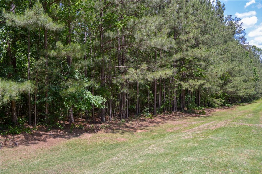 103 Abaco Lane
