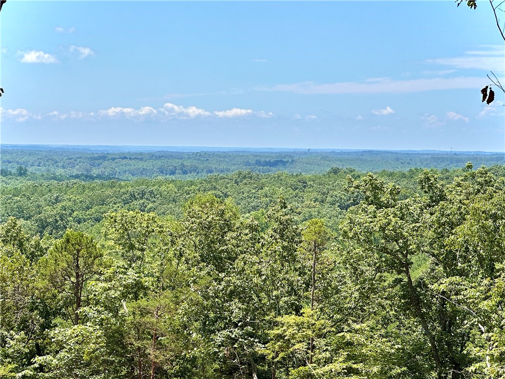 102 Long View Court Court