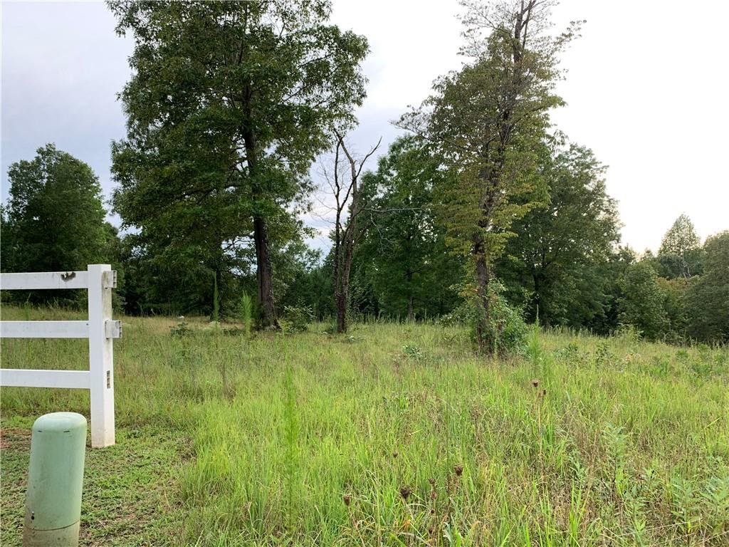 00 Lariat Loop Lot 19