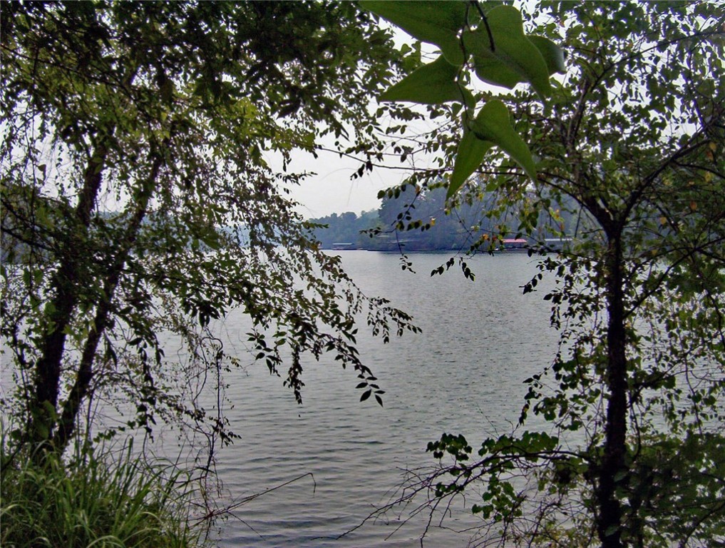 564 Rock Creek Bay Road