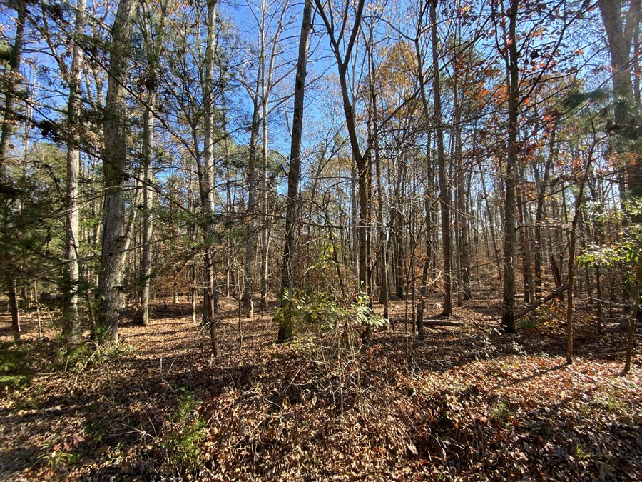 344 Shore Crest Drive