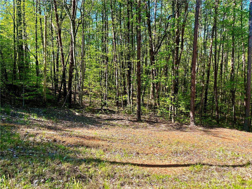 Lot 80 Sequoia Trail