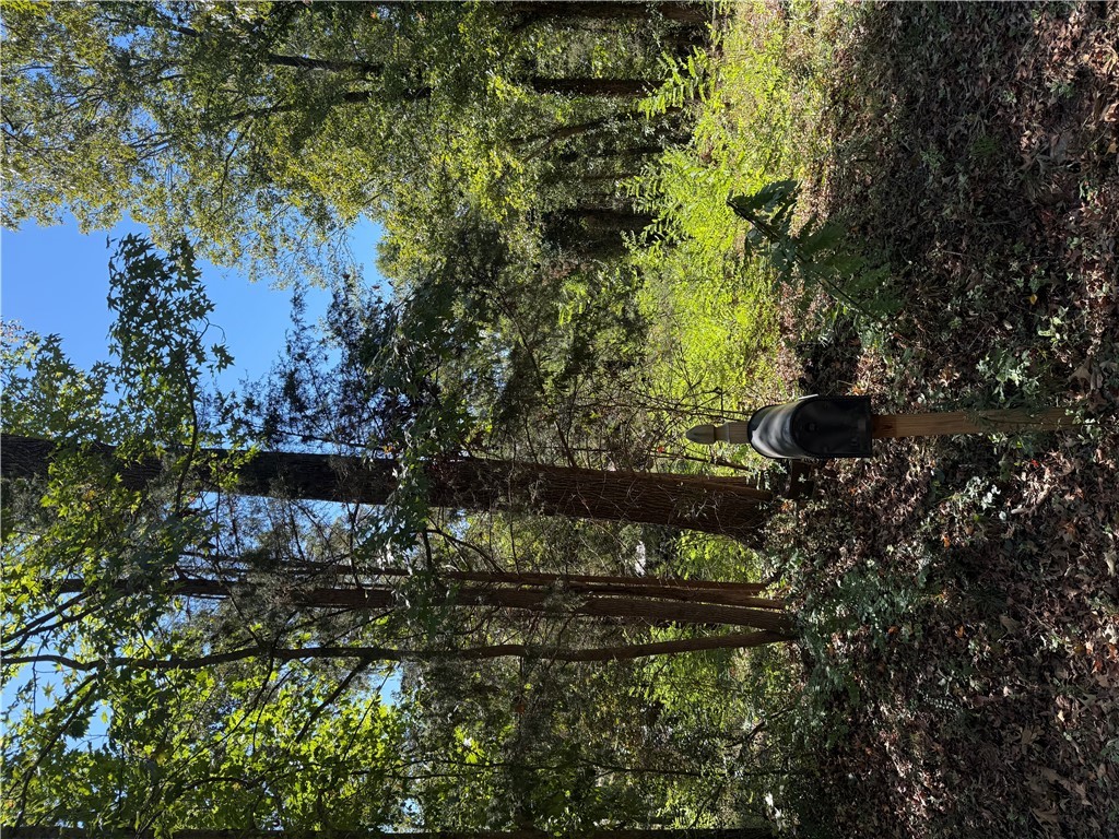 1203 Round About Trail