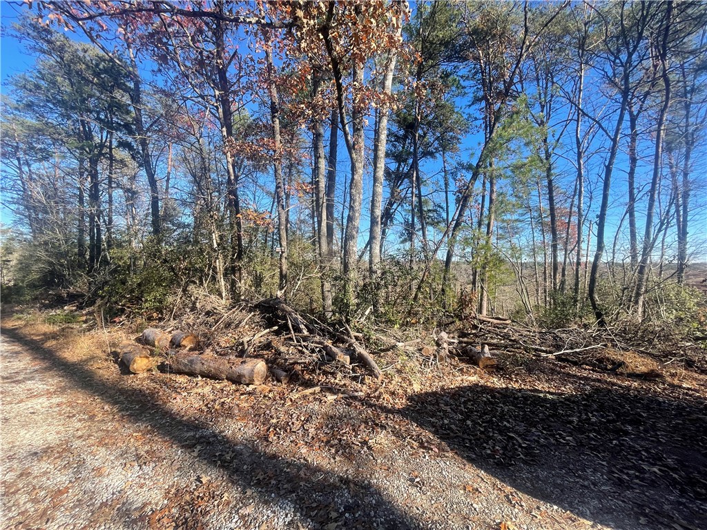 Lake Cherokee, Tamassee community