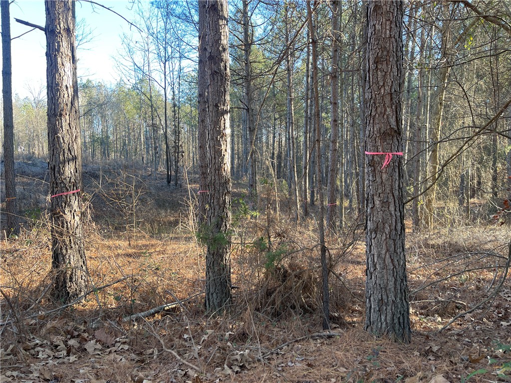 139 Brambleberry Trail