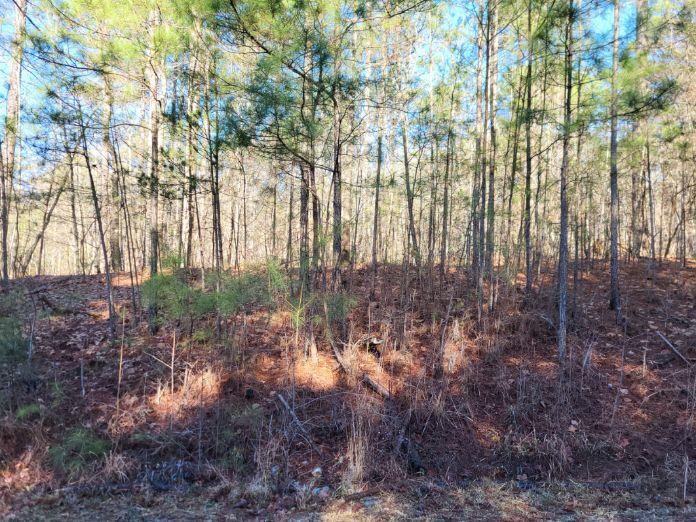 Lot E-25 Pine Ridge Way