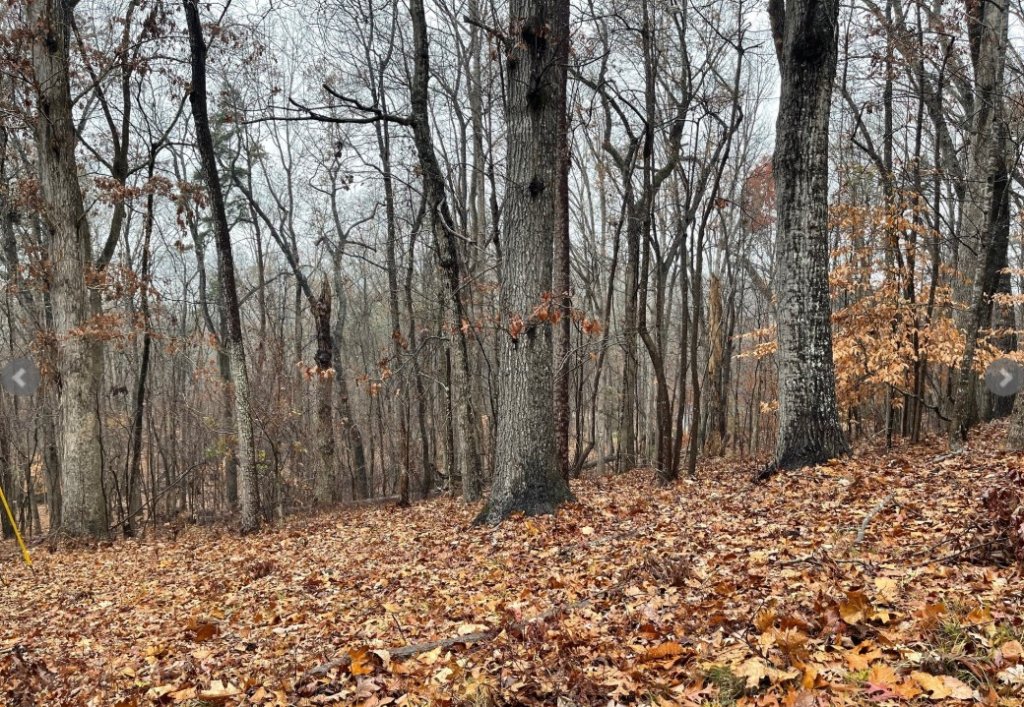 Lot 2134 S Arrowhead Drive