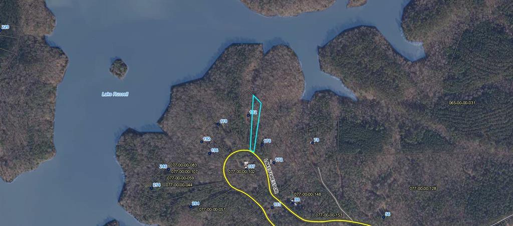 Calhoun Forest, Abbeville community