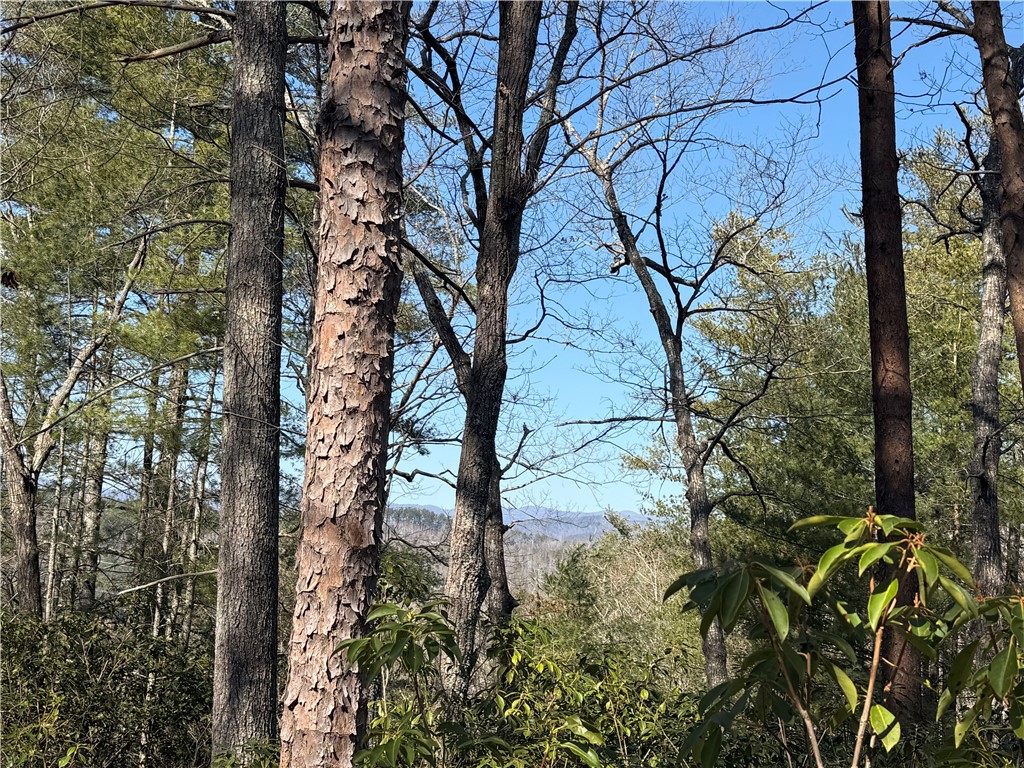 318 Ginseng Drive