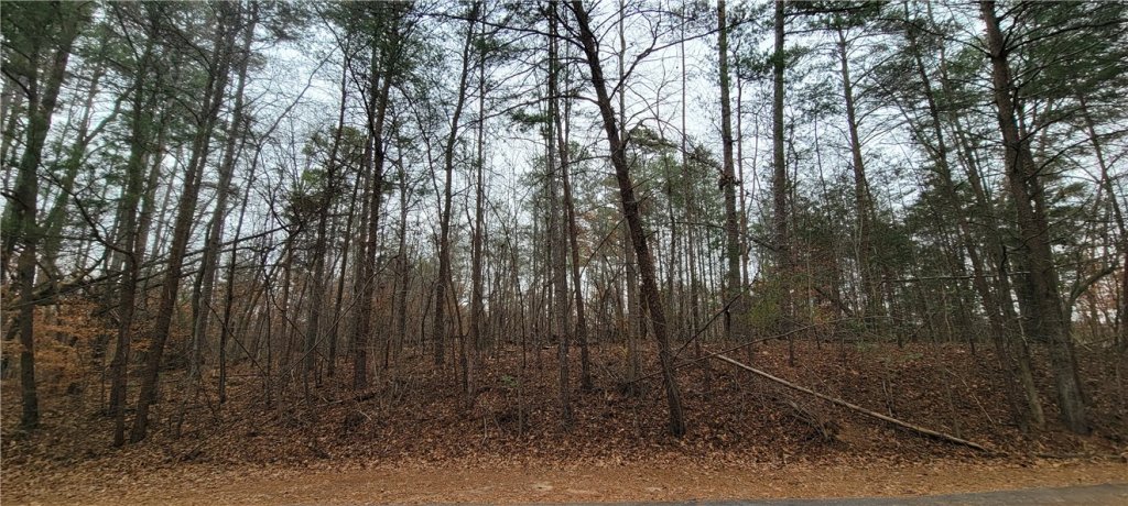 311 Sugarbush Court