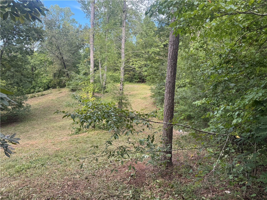 Lot 48 Stardust Lane