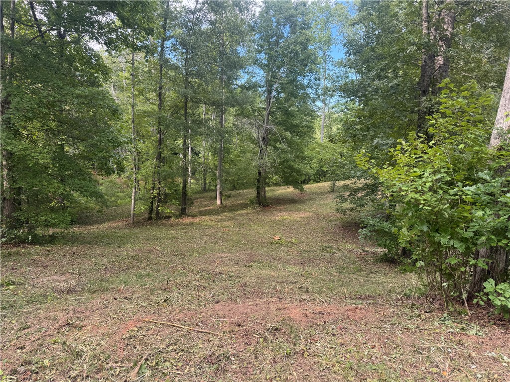 Lot 49 Stardust Lane