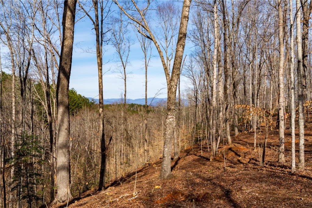 Lot 117 Pine Harbor Way
