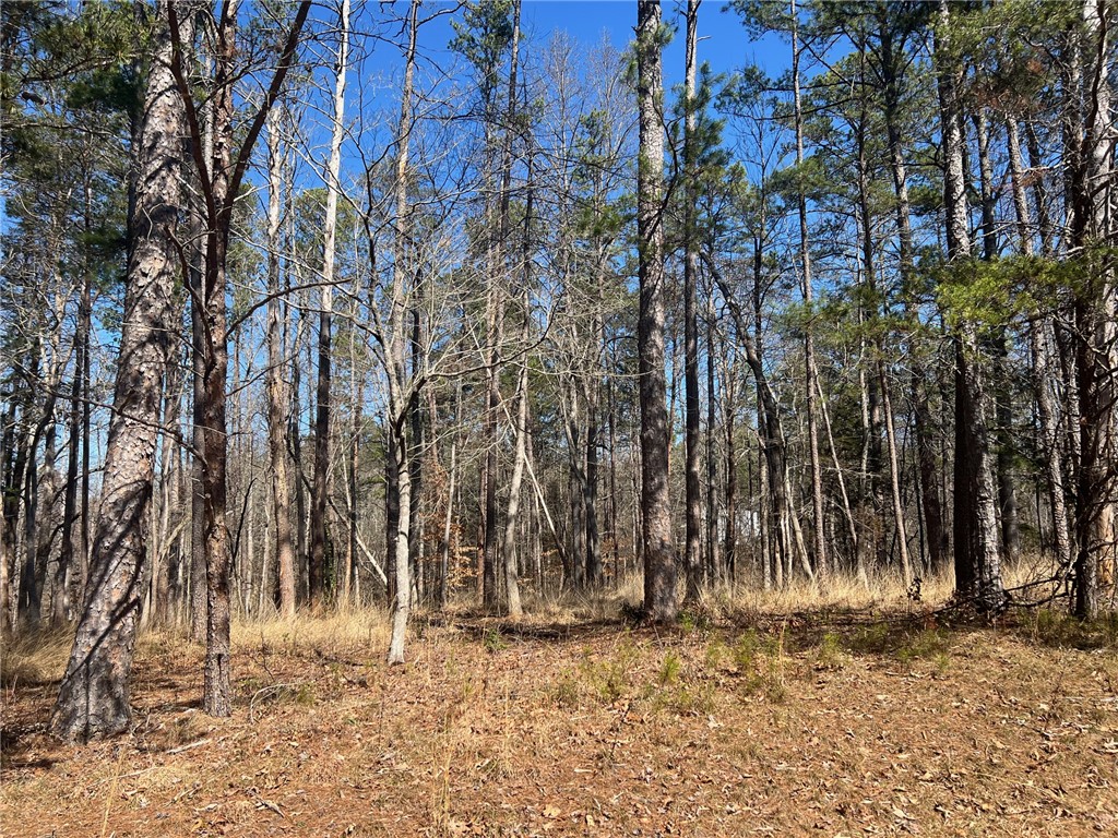 Lot 31 North Shores Drive