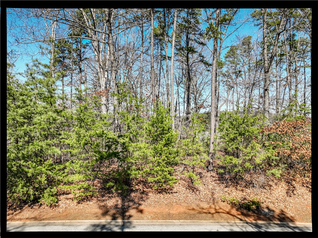 Lot 31 Rollingwood Drive