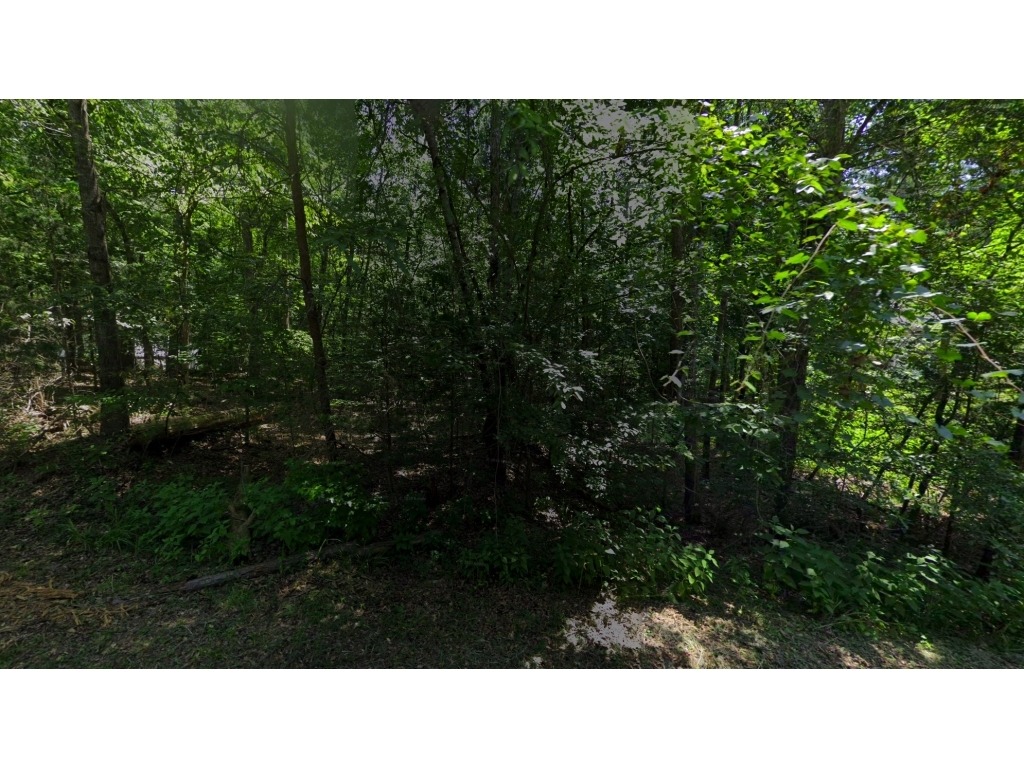 621 Rocky Trail