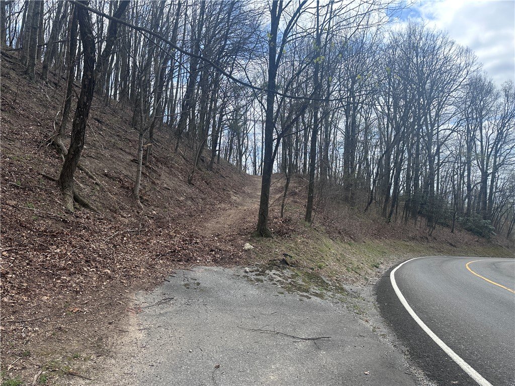 00 Flintrock Knob Lane