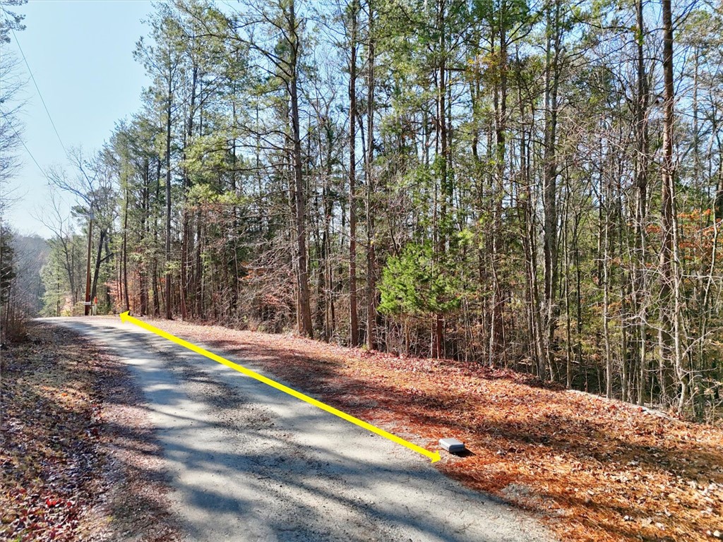 00 Lake Forest Drive