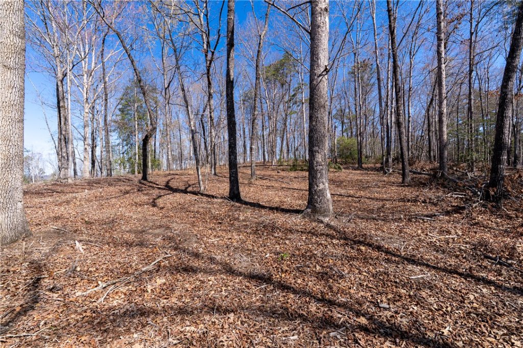 Lot 11 Fairway'S Edge Drive