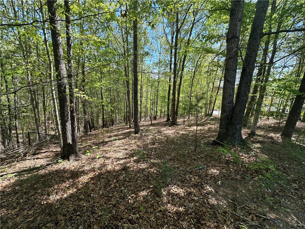 534 Ginseng Drive